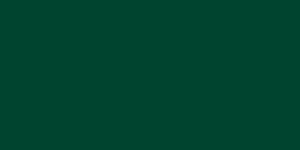 Colore 220 NCS-S 7020-B90G Verde muschio